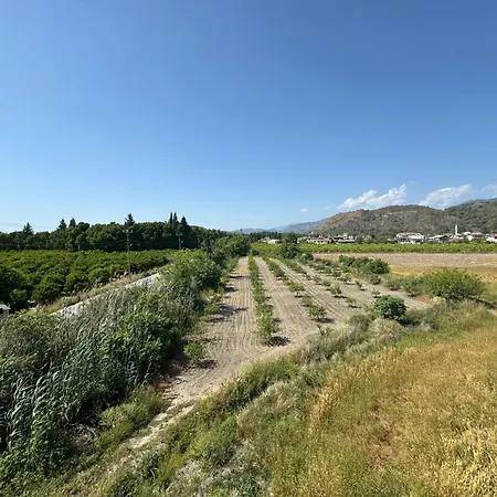 The & Airport 10 Km מלון