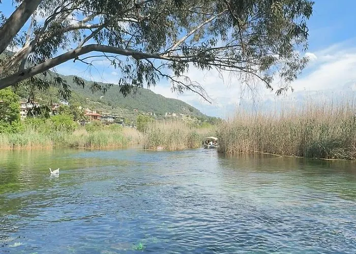 The & Airport 10 Km * דלמן