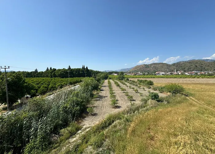 The & Airport 10 Km מלון